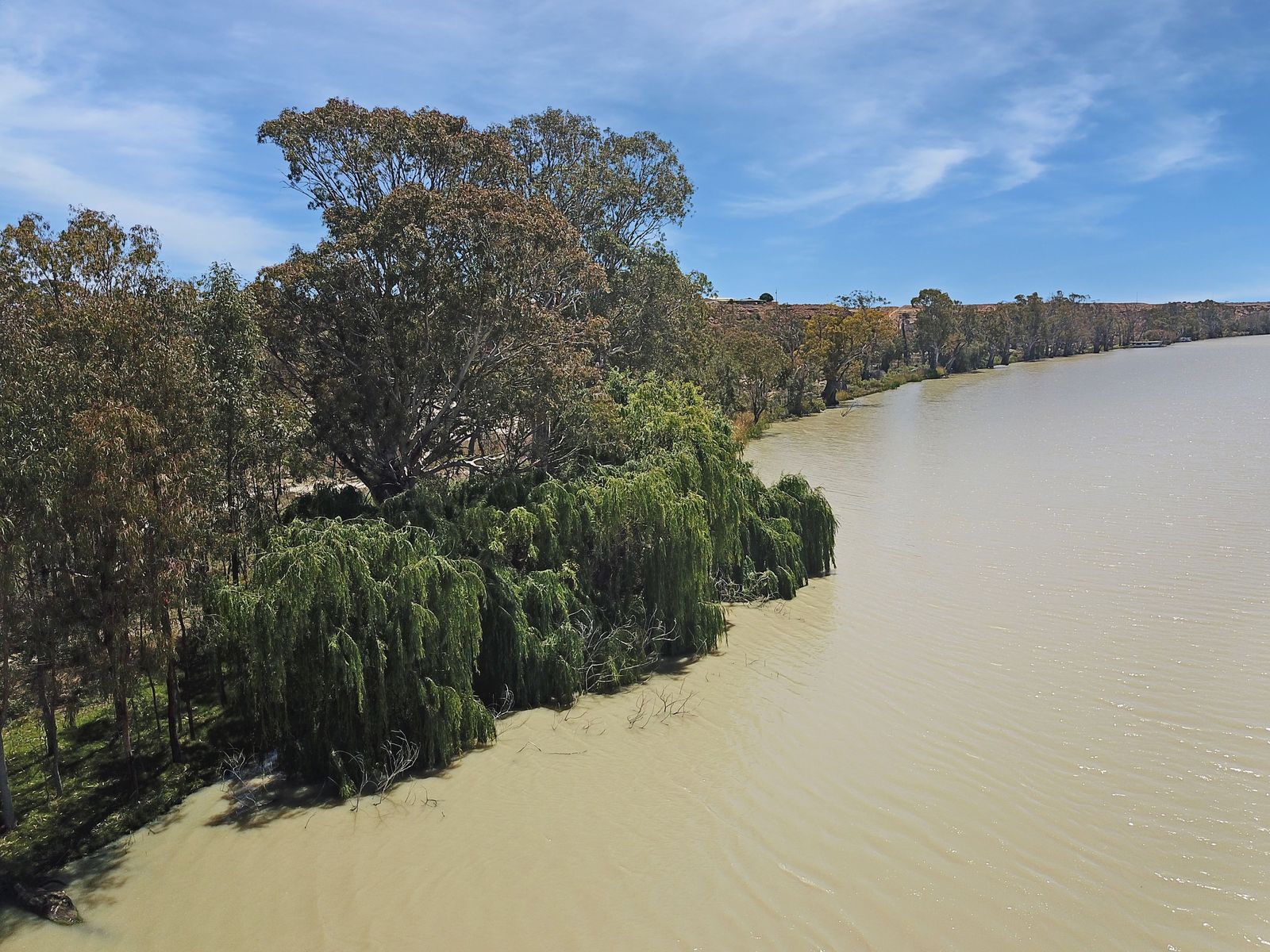 Unmatched Riverfront Freedom - 23 Acres of Pure Natural Beauty