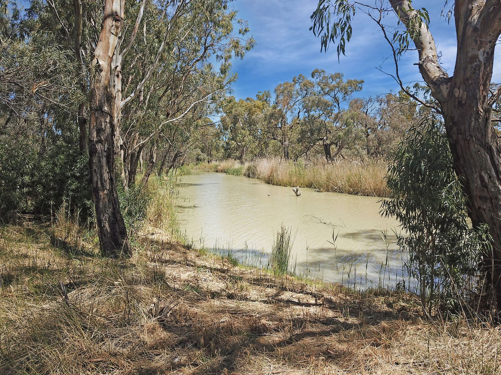 Unmatched Riverfront Freedom - 23 Acres of Pure Natural Beauty