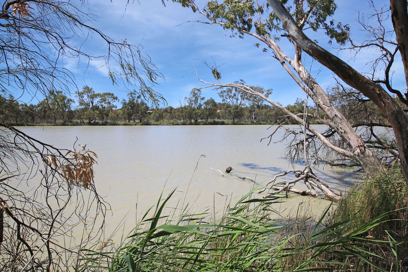 Unmatched Riverfront Freedom - 23 Acres of Pure Natural Beauty