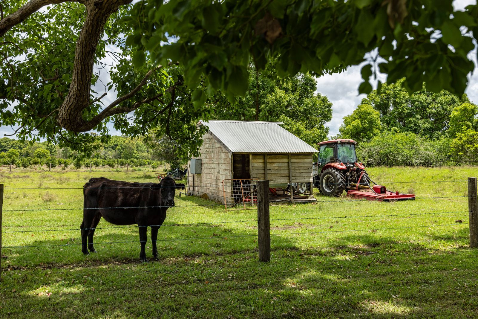 Home, Lifestyle and Acreage - This Has it All!