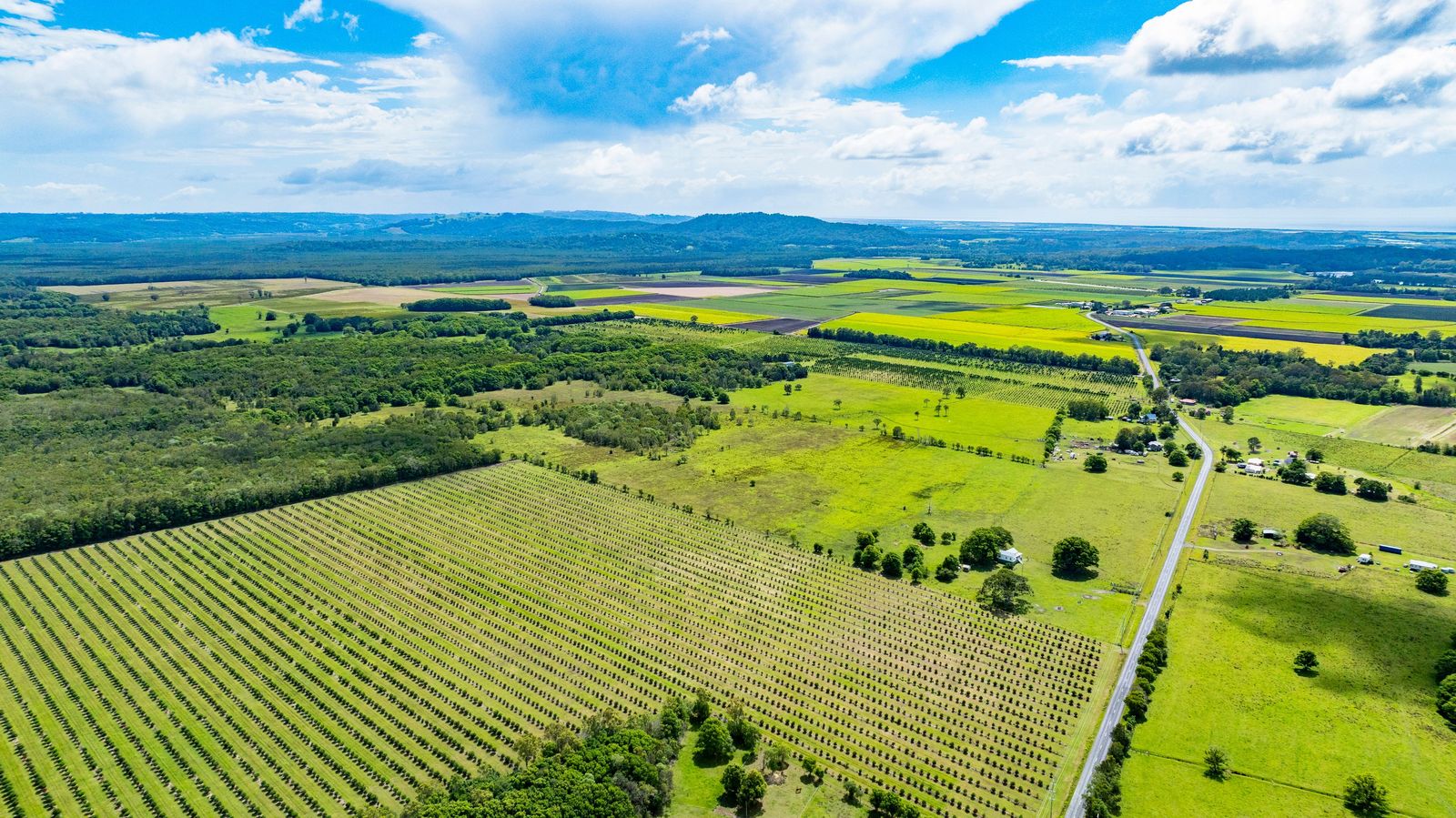 Home, Lifestyle and Acreage - This Has it All!