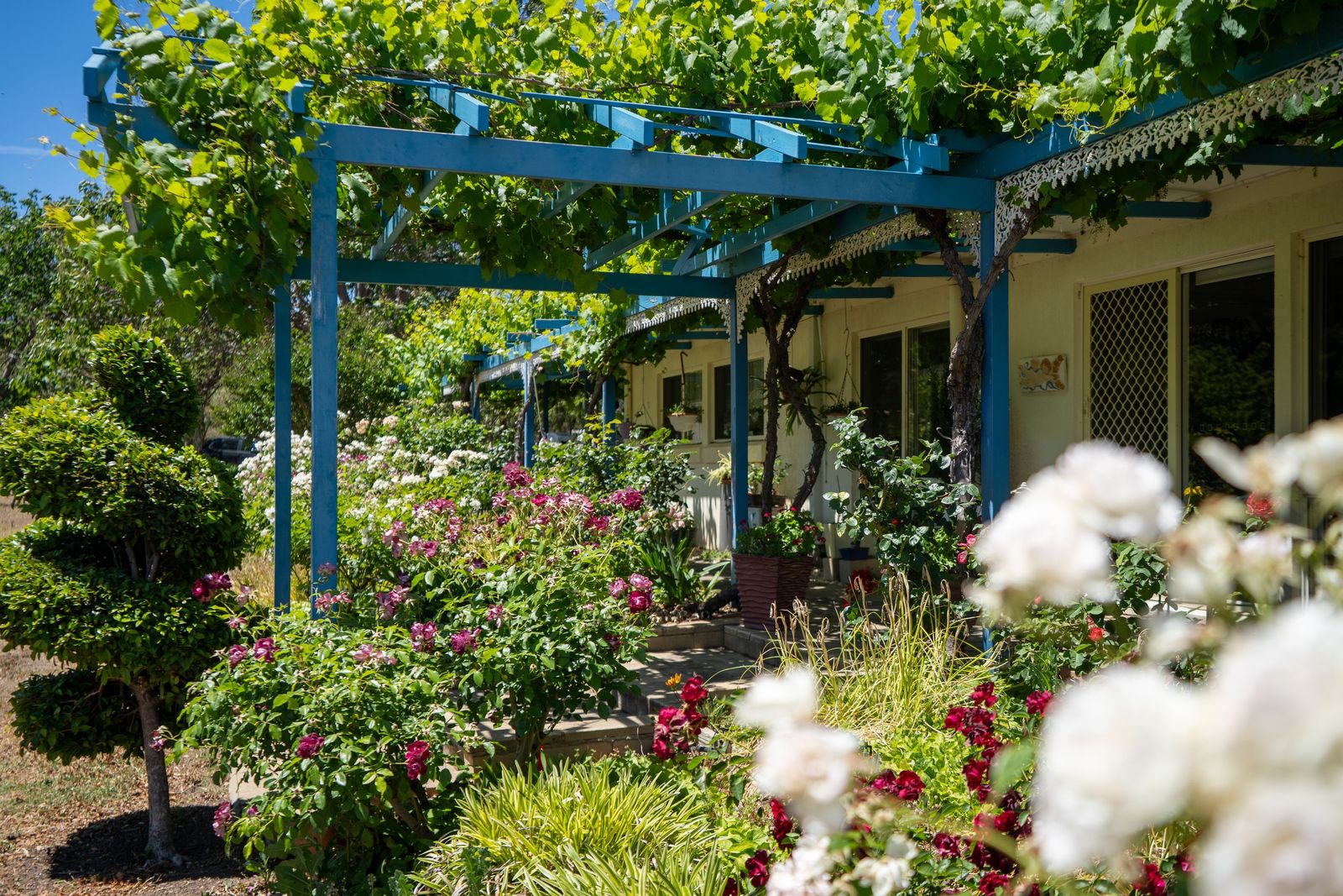 A Private Rural Haven with Space, Comfort and Country Appeal