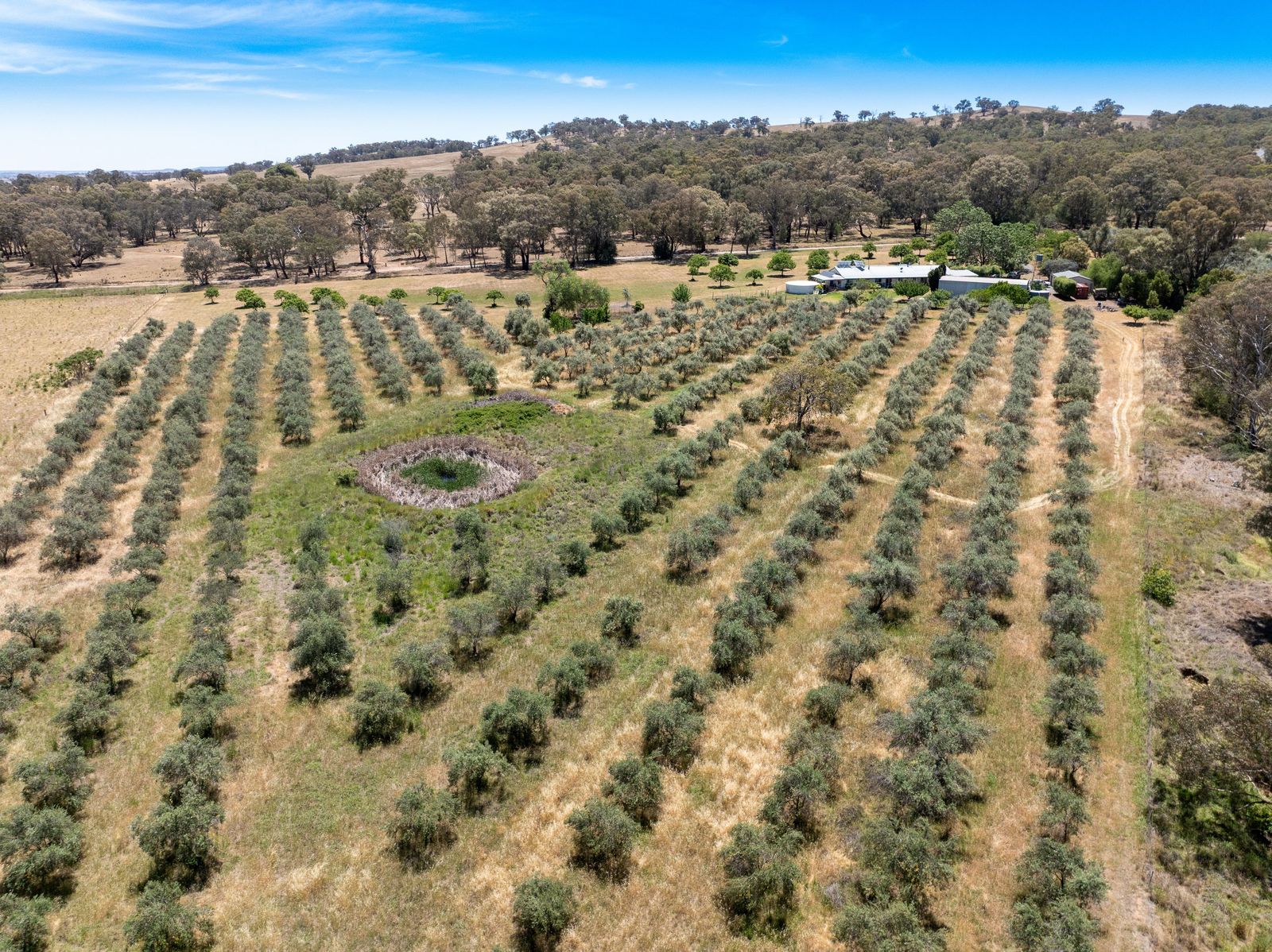A Private Rural Haven with Space, Comfort and Country Appeal