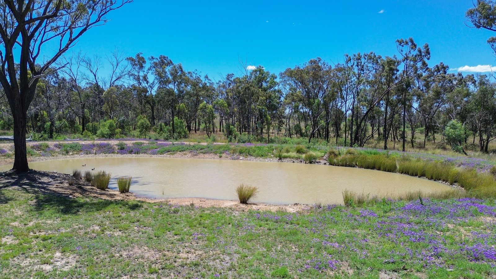 A Rare Off-Grid Retreat on the Historic Site of the Old Thanes Creek School