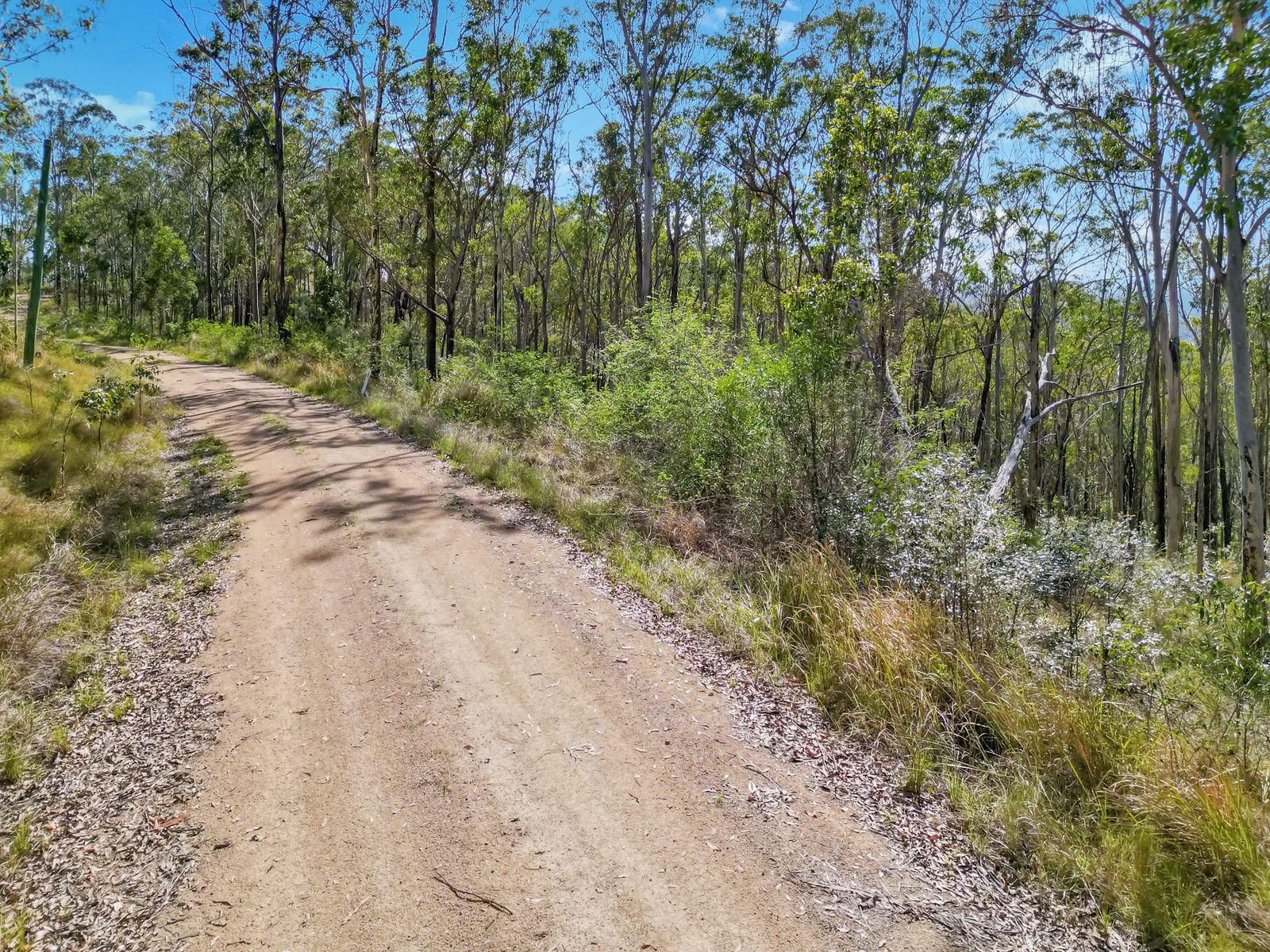 Lot 17 Ogilvie Drive, Tabulam - 40 Hectares of Natural Australian Bushland