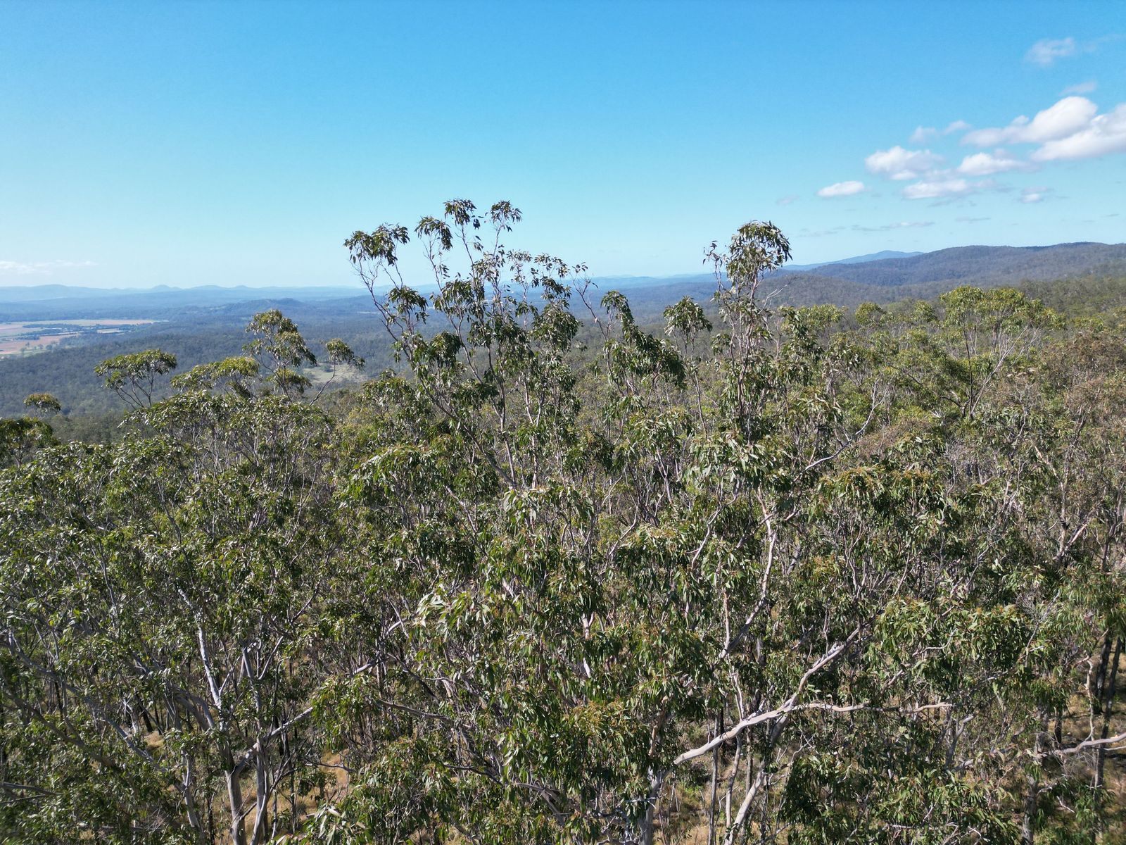 Lot 17 Ogilvie Drive, Tabulam - 40 Hectares of Natural Australian Bushland