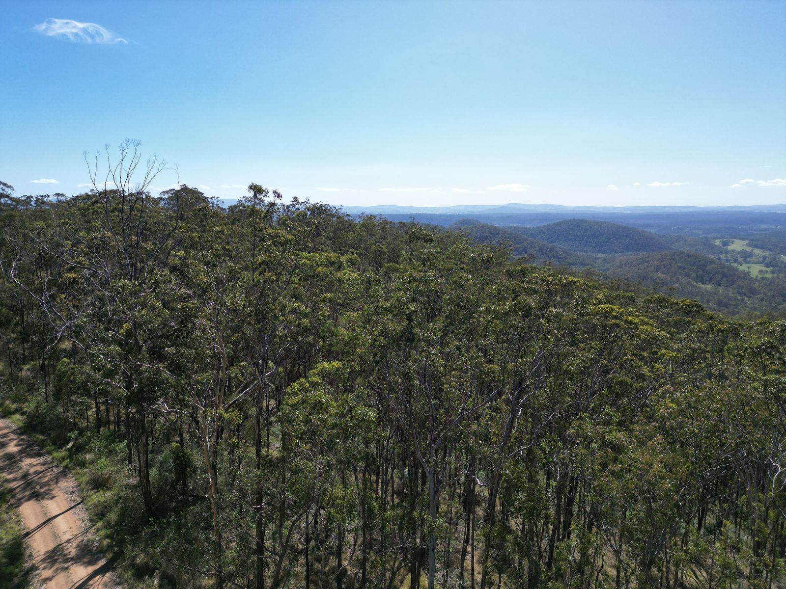 Lot 17 Ogilvie Drive, Tabulam - 40 Hectares of Natural Australian Bushland
