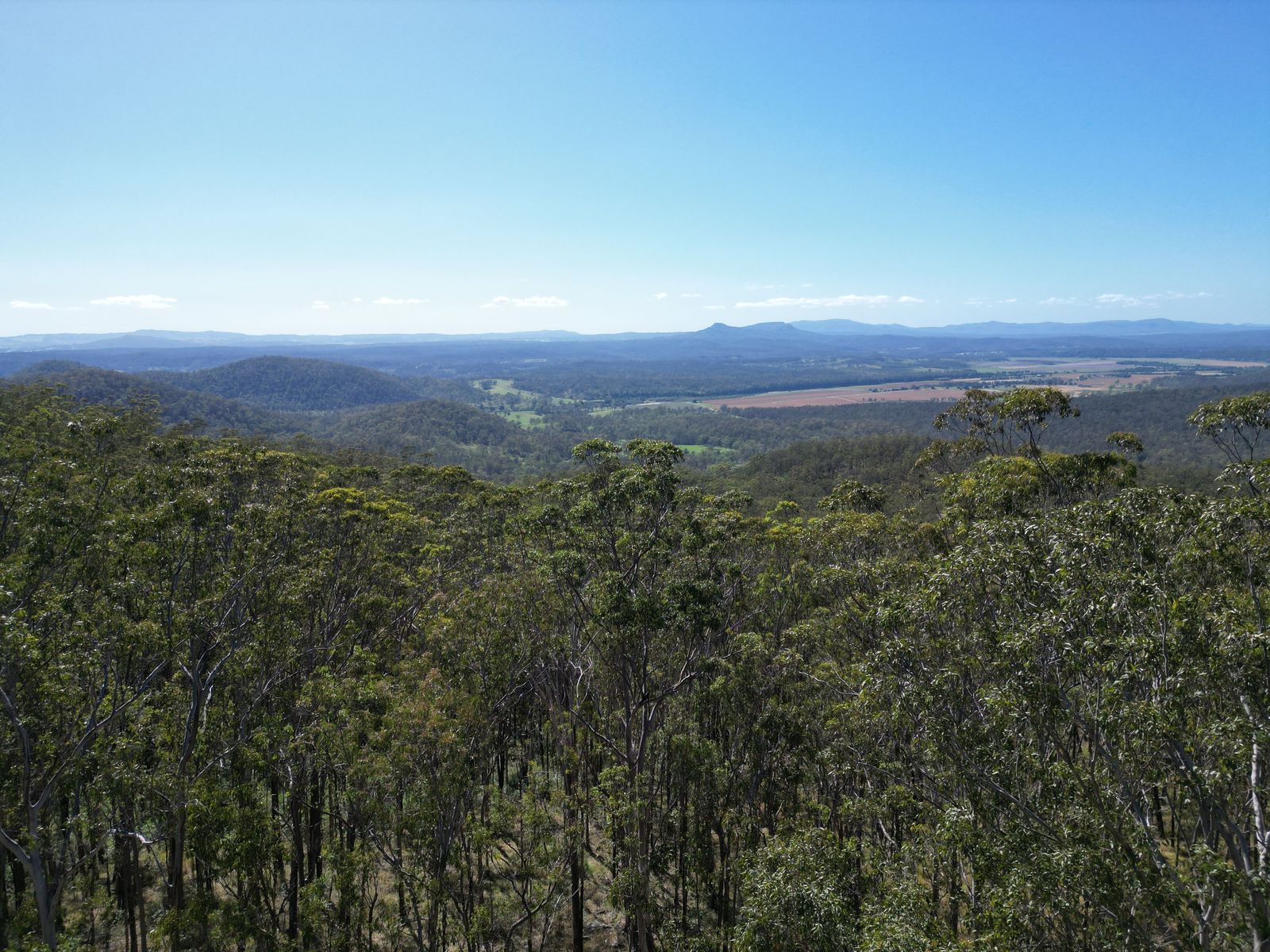 Lot 17 Ogilvie Drive, Tabulam - 40 Hectares of Natural Australian Bushland
