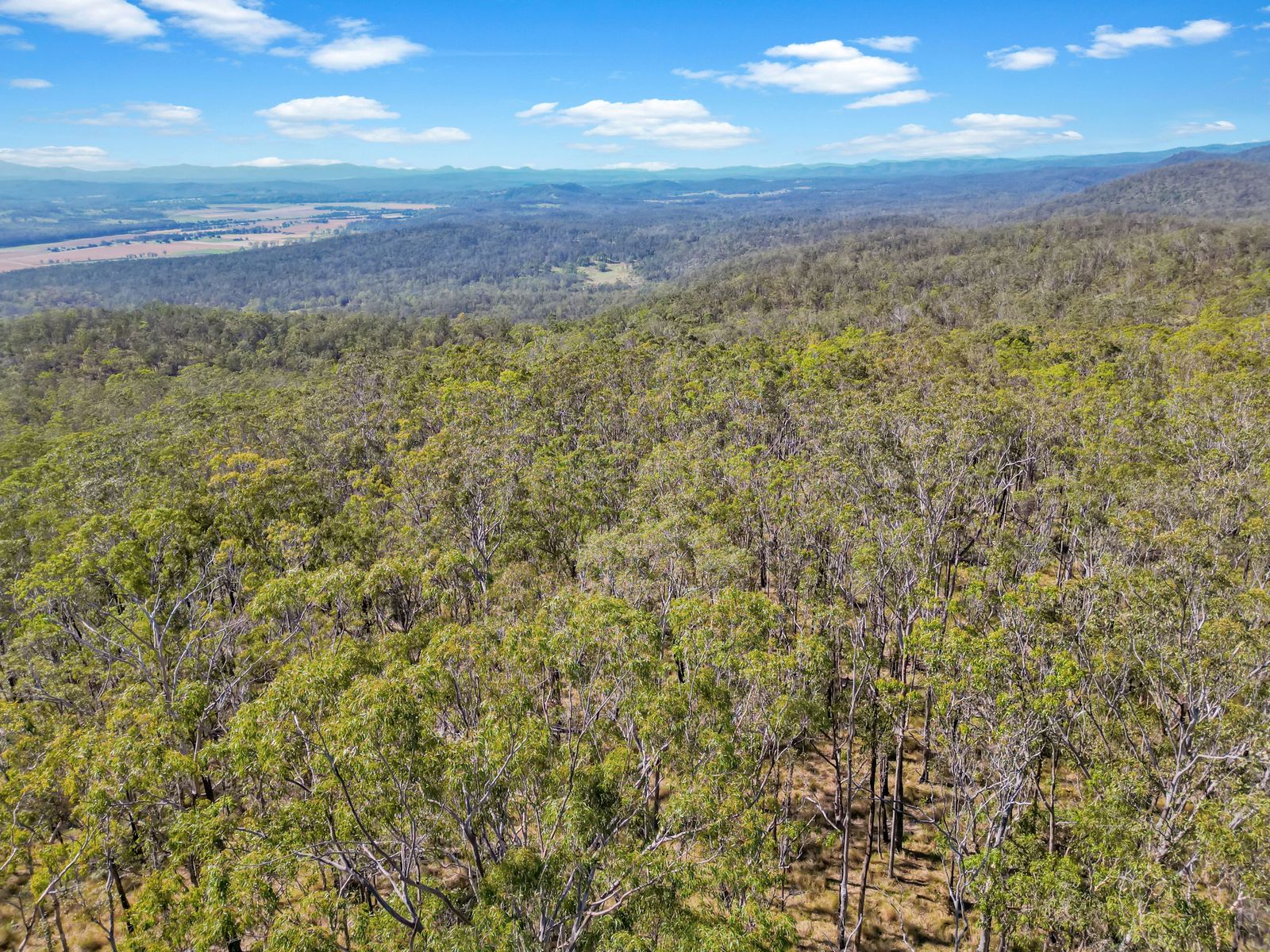 Lot 17 Ogilvie Drive, Tabulam - 40 Hectares of Natural Australian Bushland