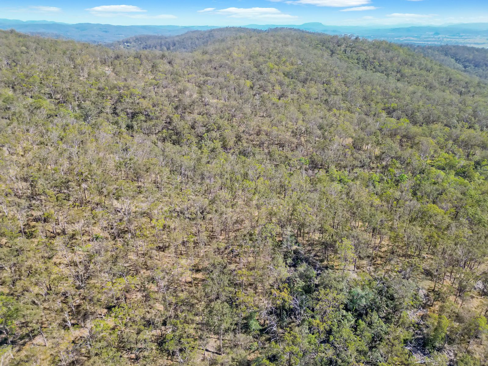 Lot 17 Ogilvie Drive, Tabulam - 40 Hectares of Natural Australian Bushland