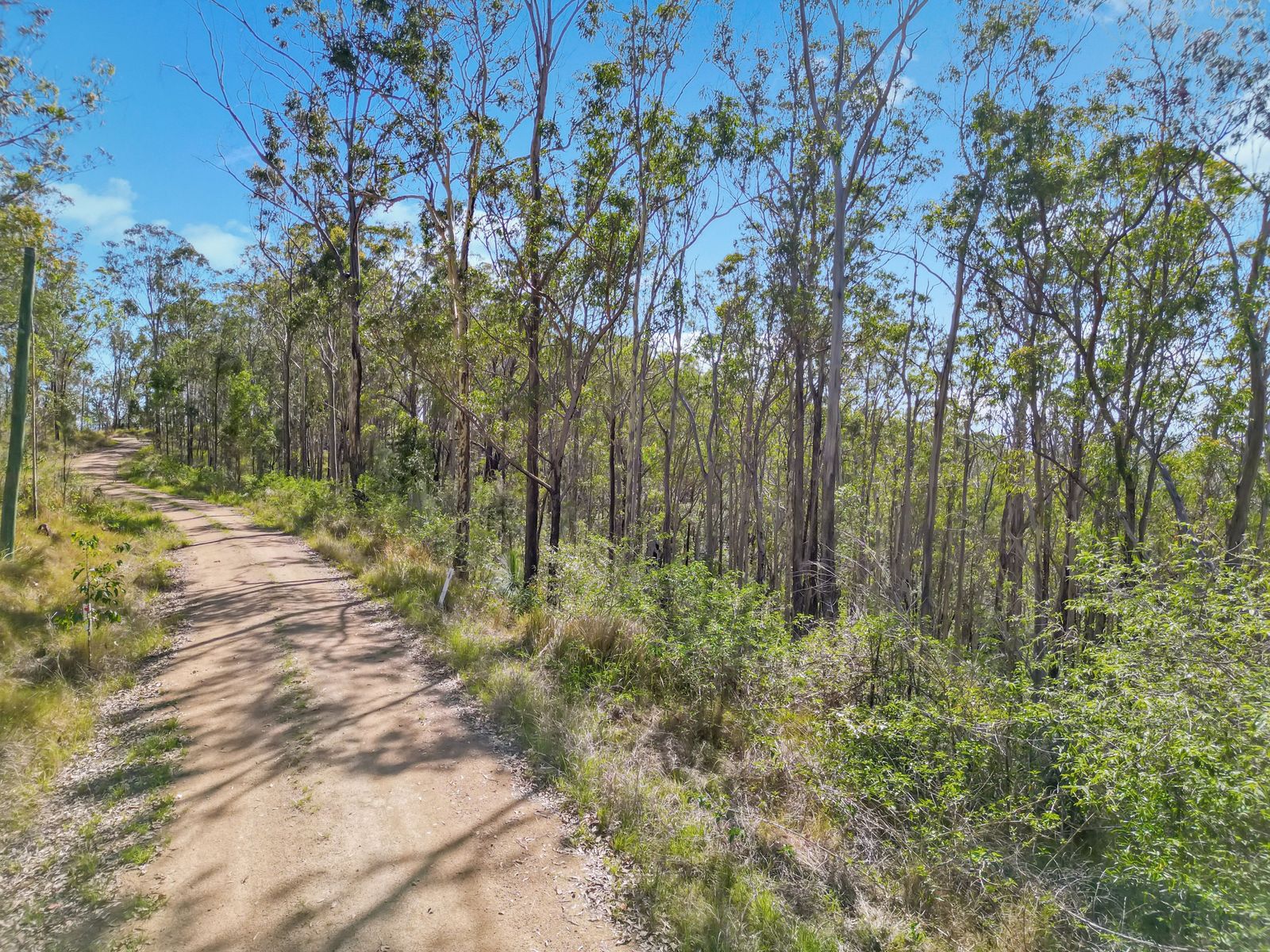 Lot 17 Ogilvie Drive, Tabulam - 40 Hectares of Natural Australian Bushland