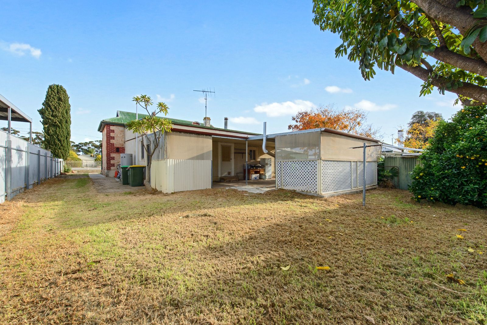 Stone Home Living with Shedding