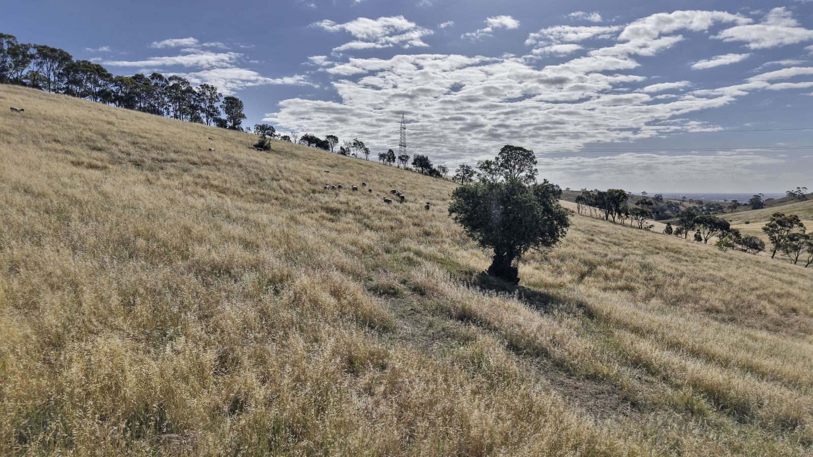 Majestic Medlow Opportunity