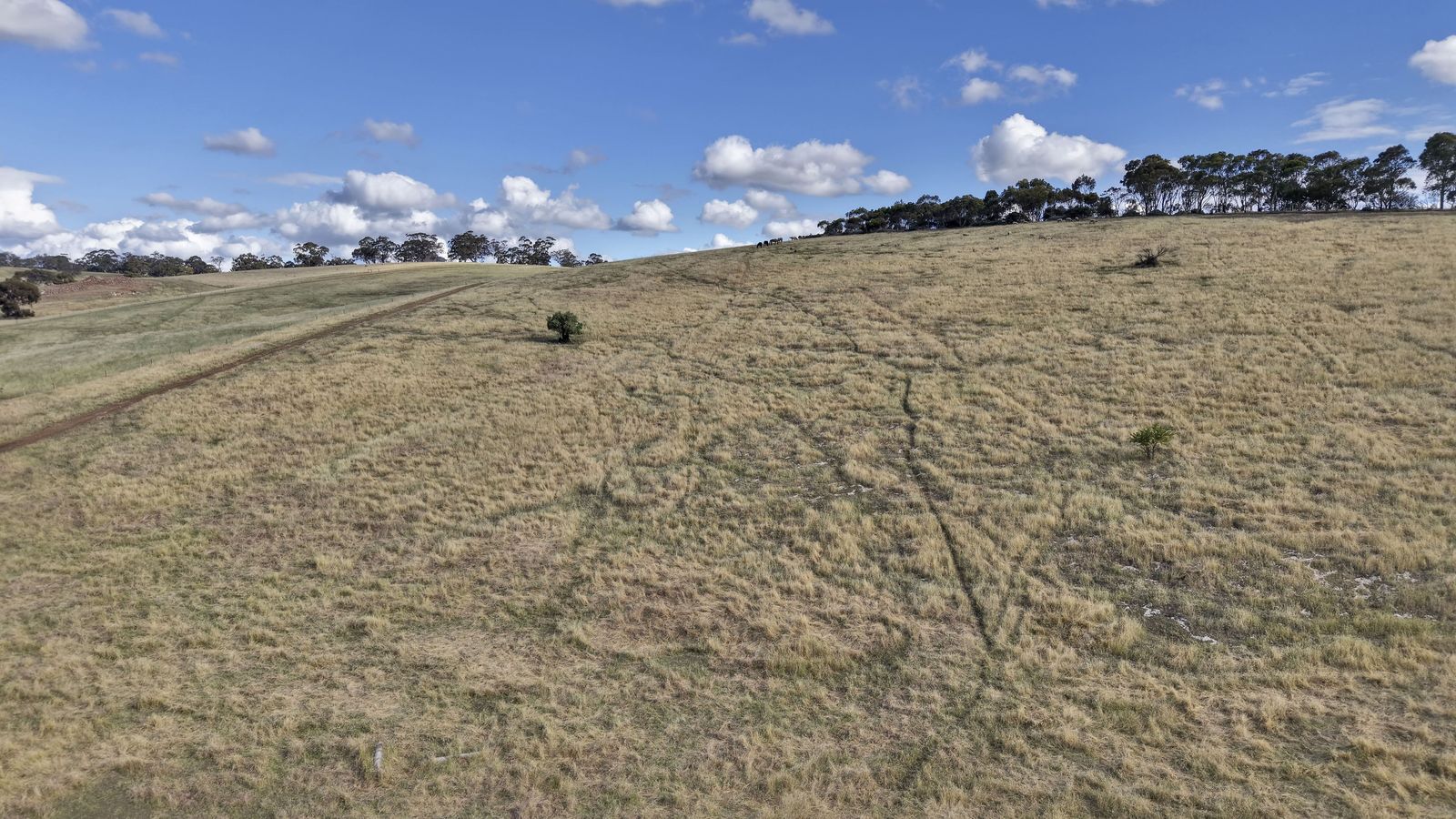 Majestic Medlow Opportunity