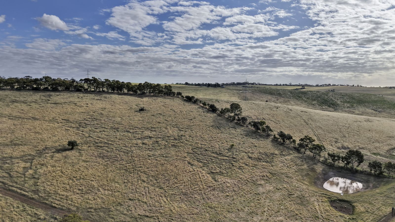 Majestic Medlow Opportunity