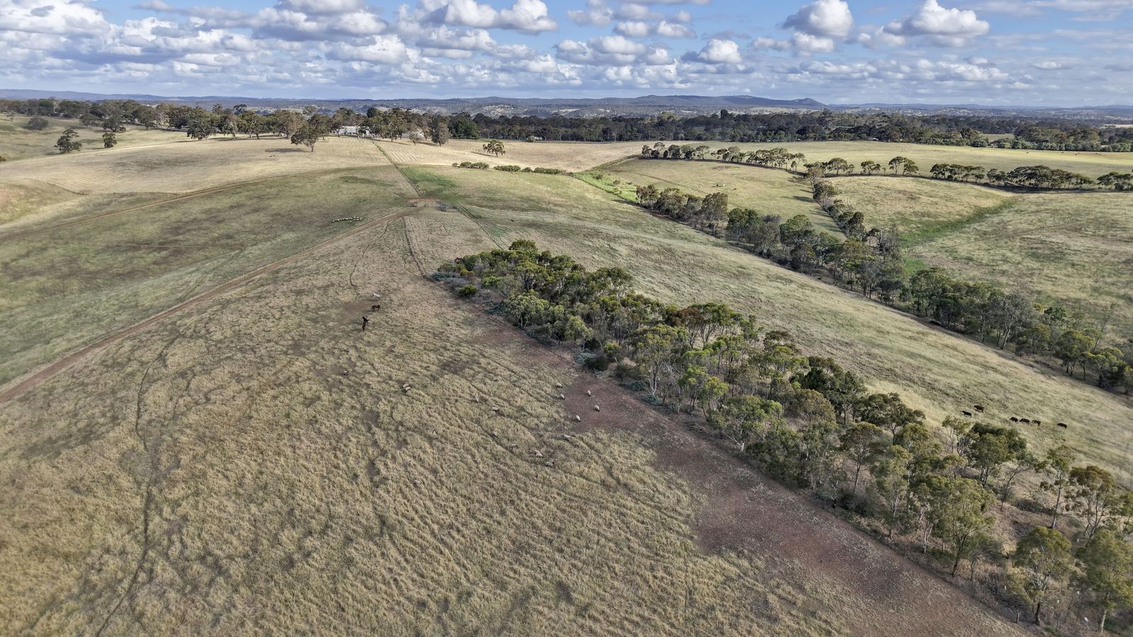 Majestic Medlow Opportunity
