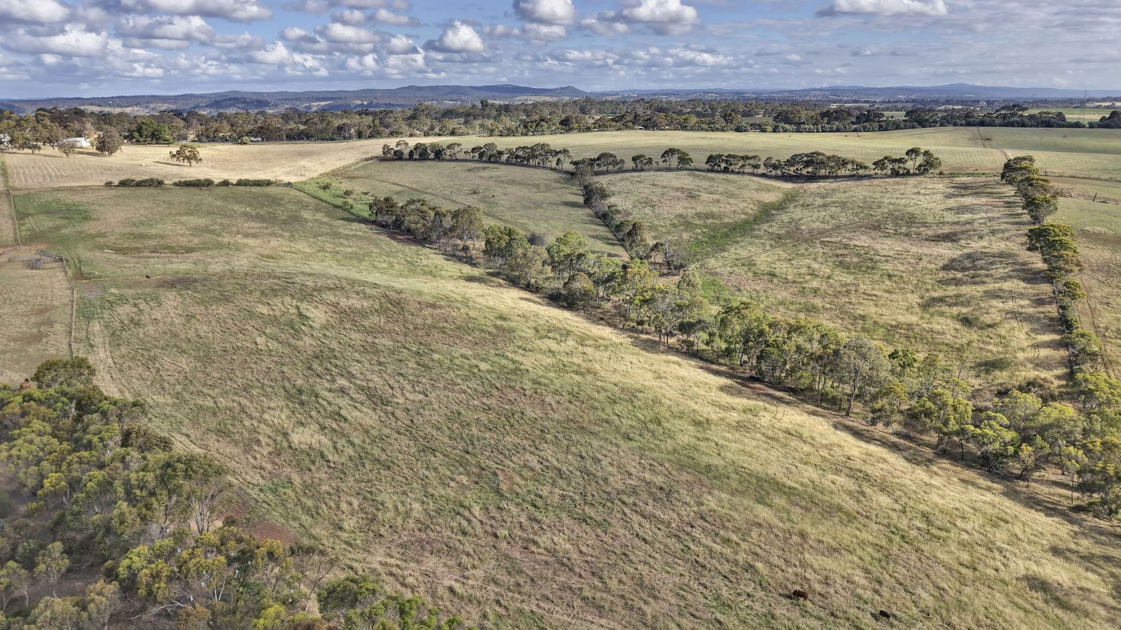 Majestic Medlow Opportunity