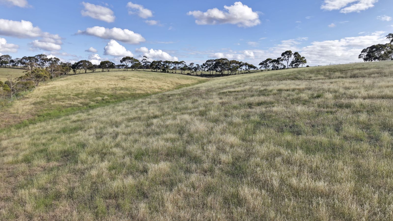 Majestic Medlow Opportunity