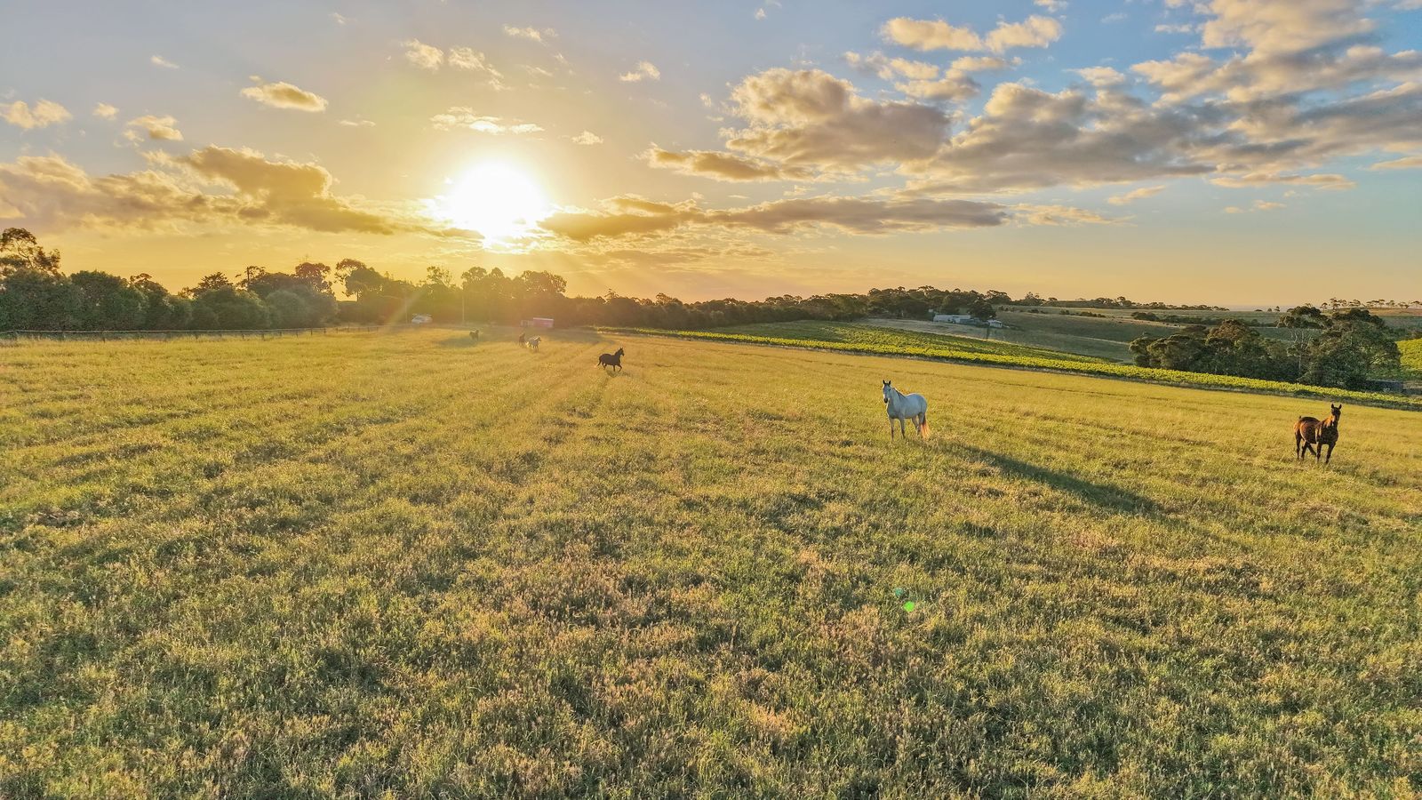 Majestic Medlow Opportunity