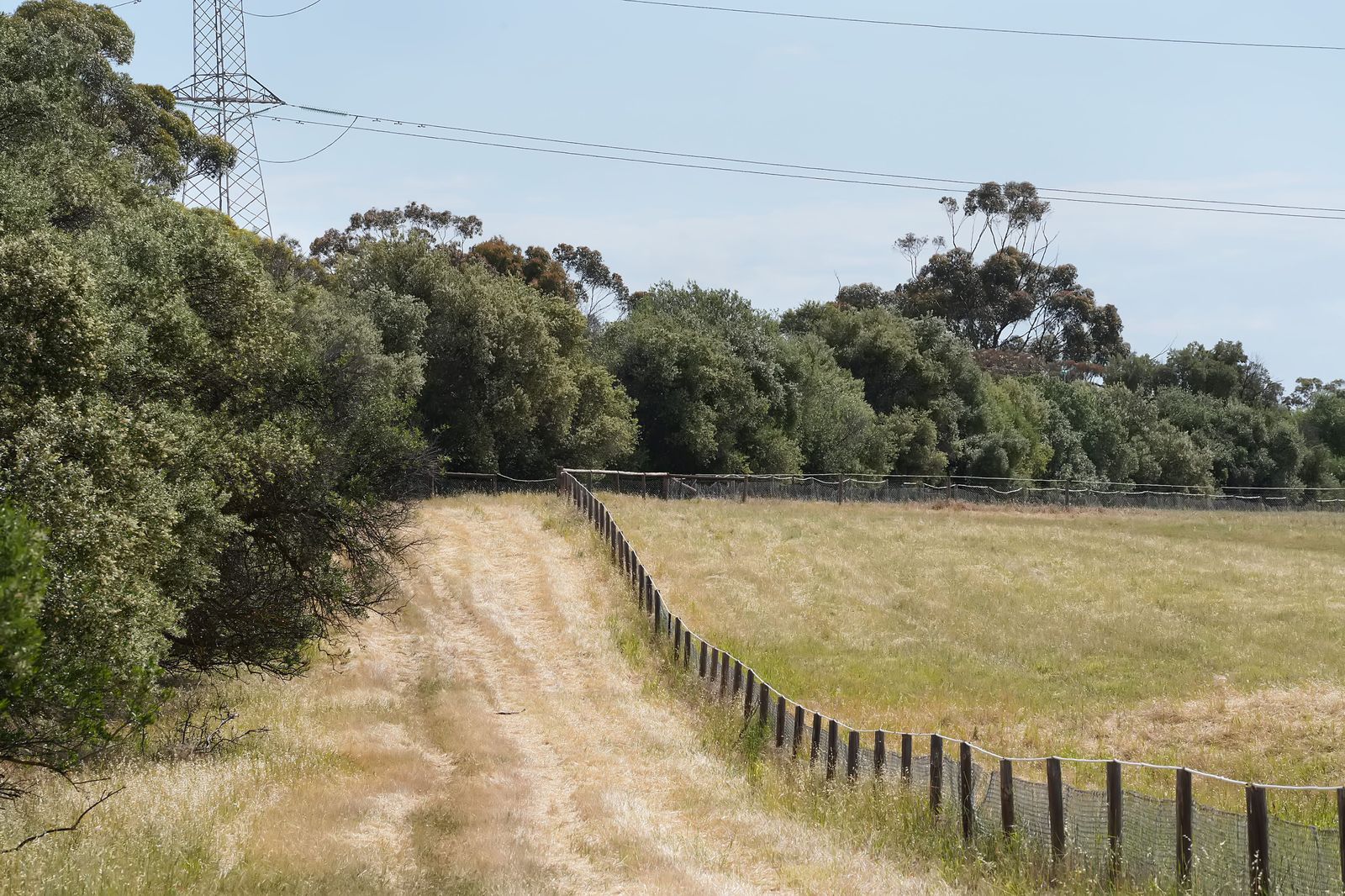 Majestic Medlow Opportunity