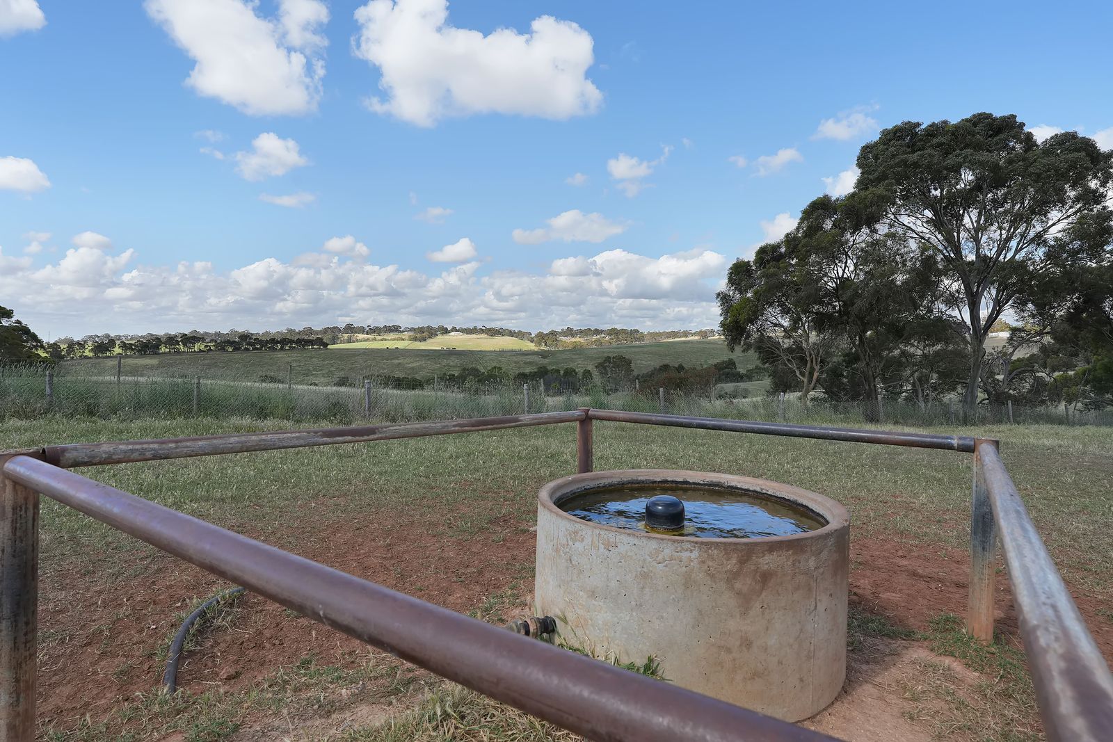 Majestic Medlow Opportunity