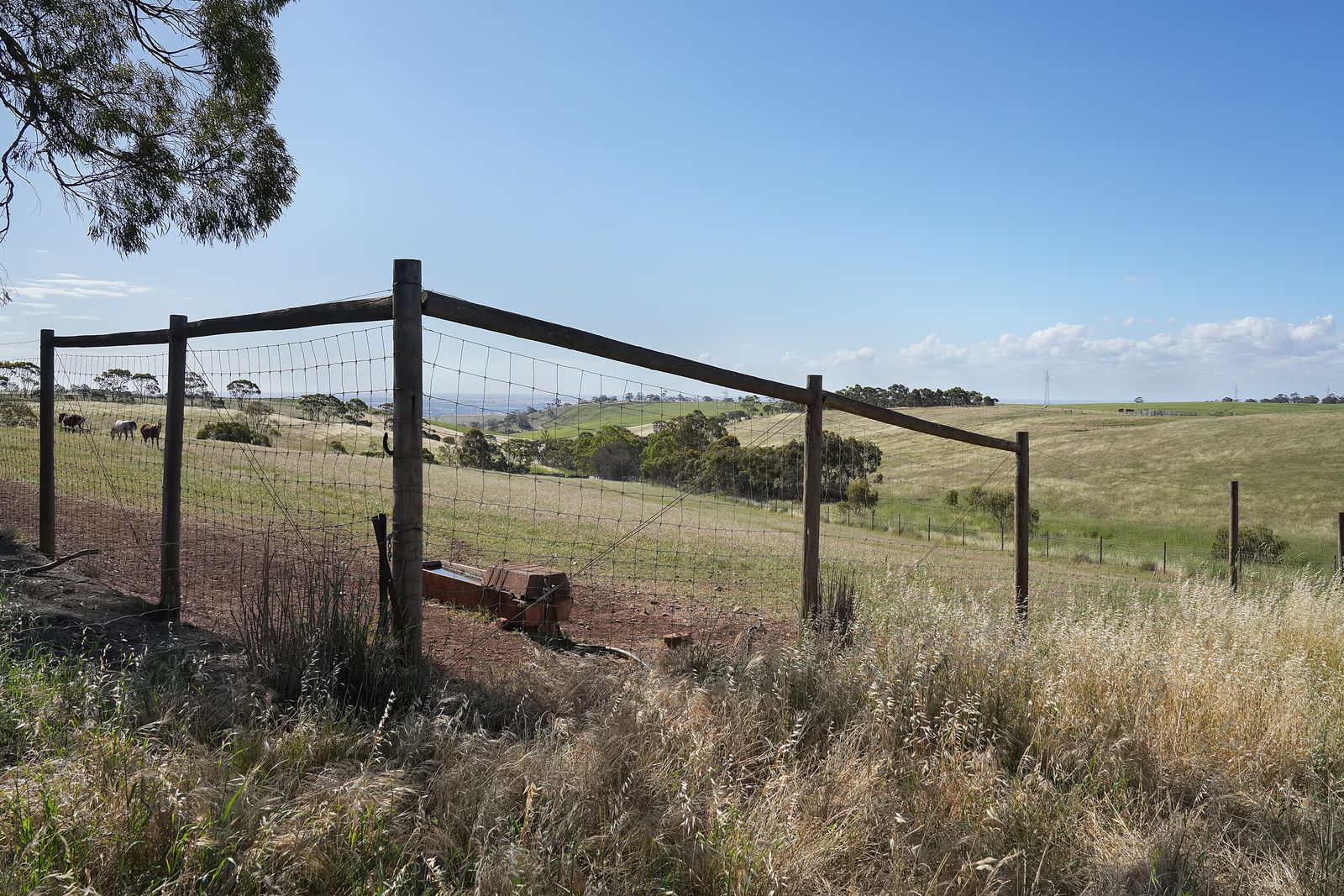 Majestic Medlow Opportunity