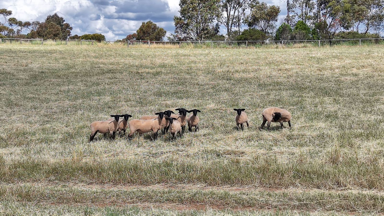 Majestic Medlow Opportunity