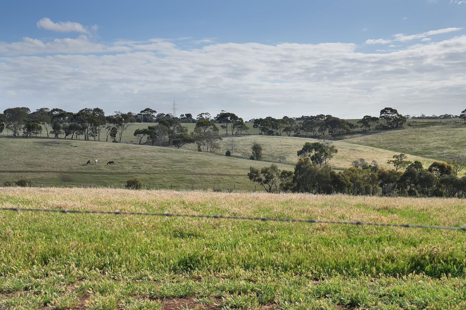 Majestic Medlow Opportunity