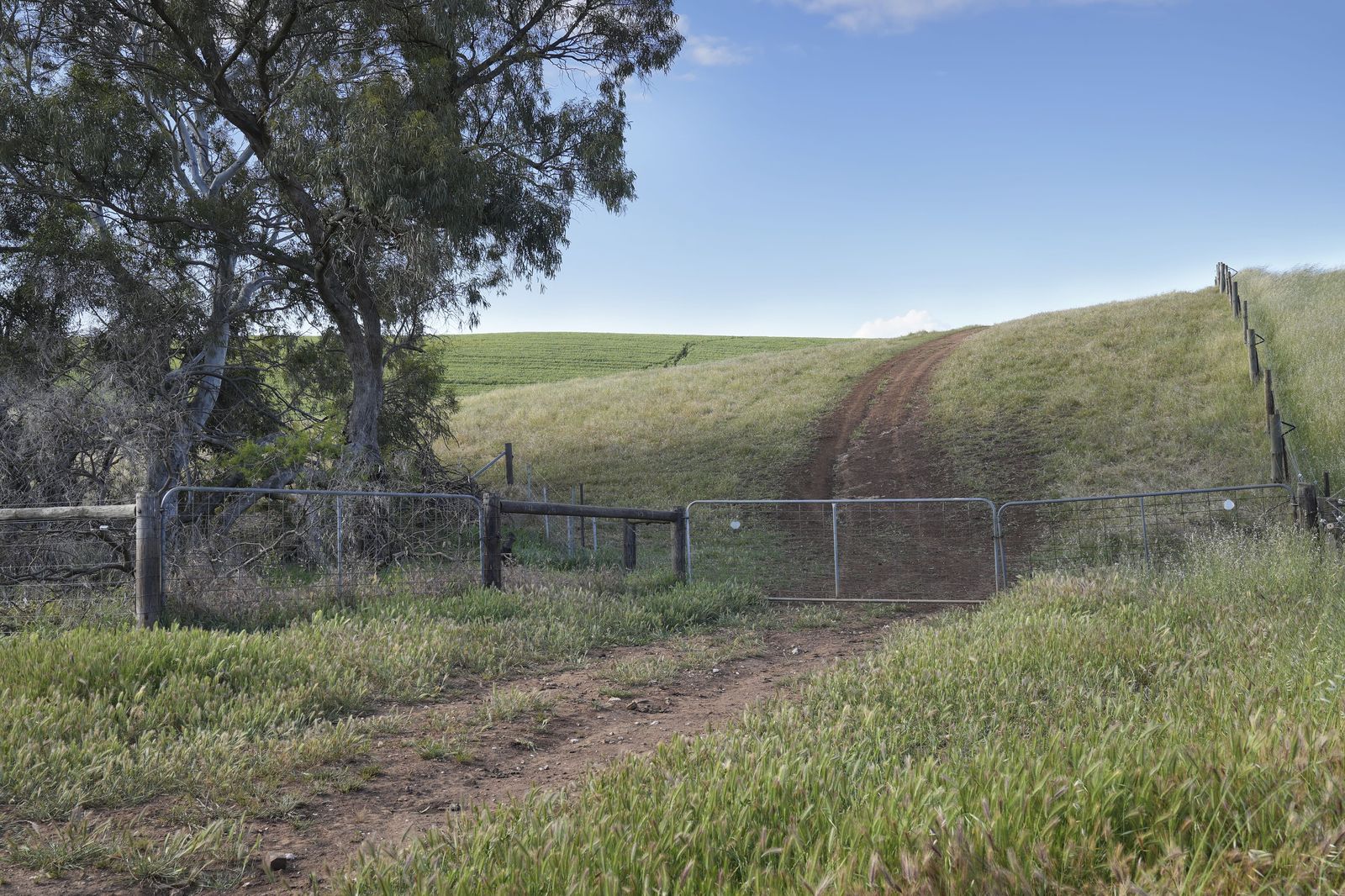 Majestic Medlow Opportunity