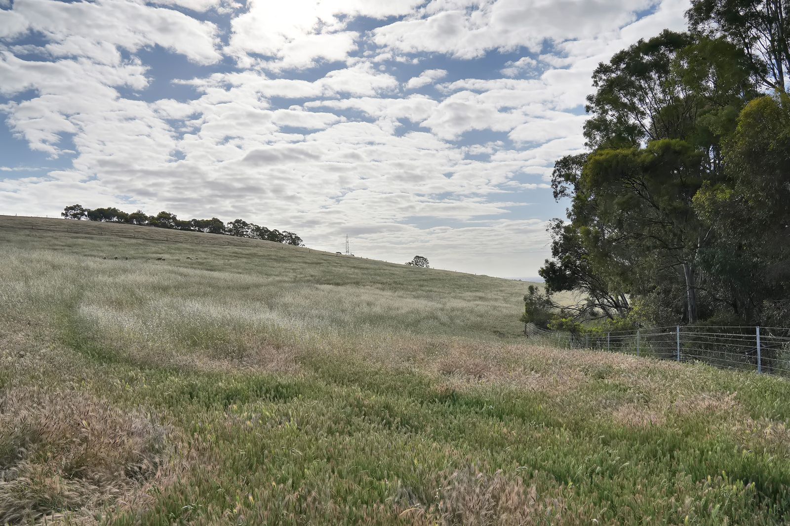 Majestic Medlow Opportunity