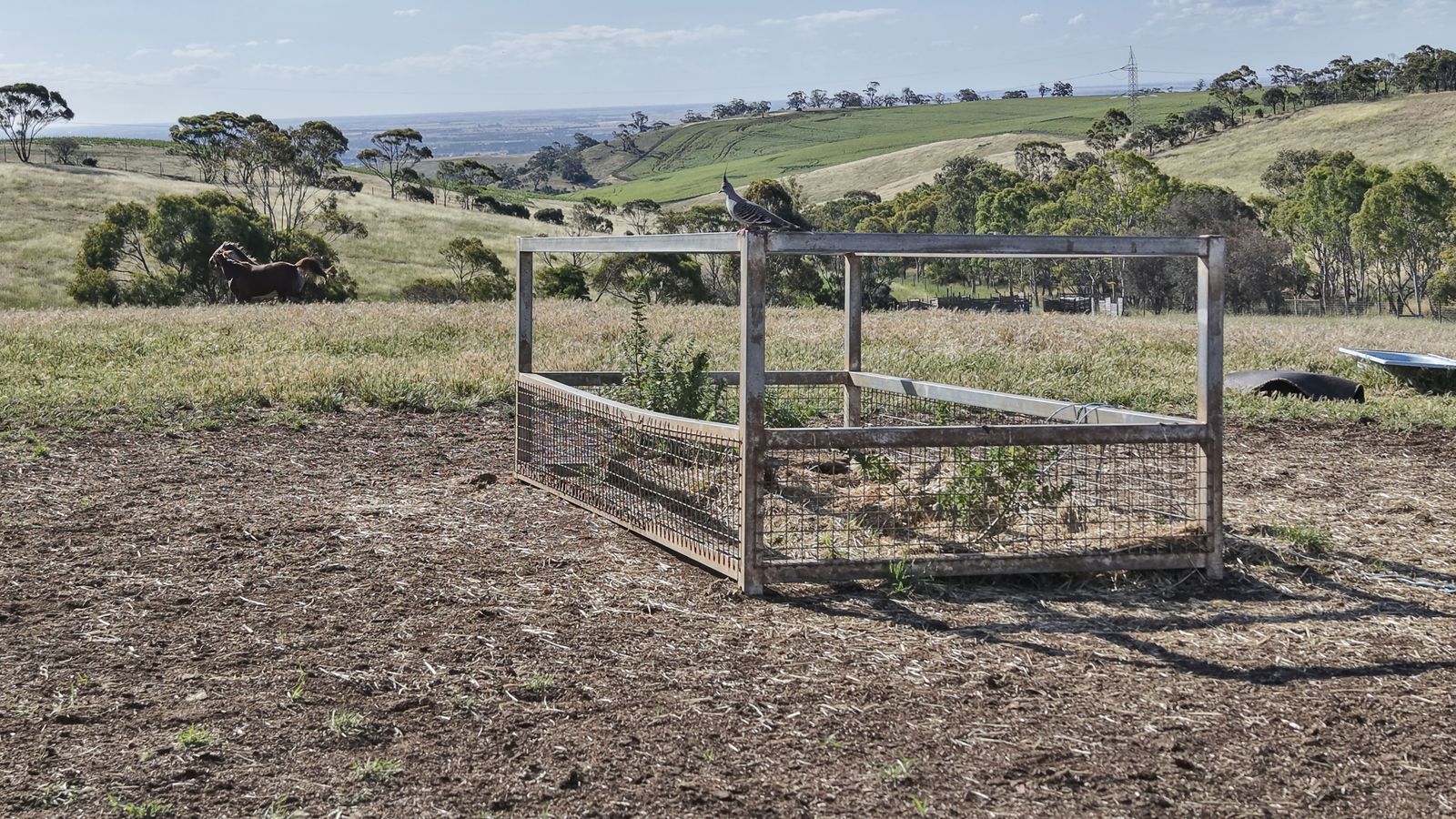 Majestic Medlow Opportunity