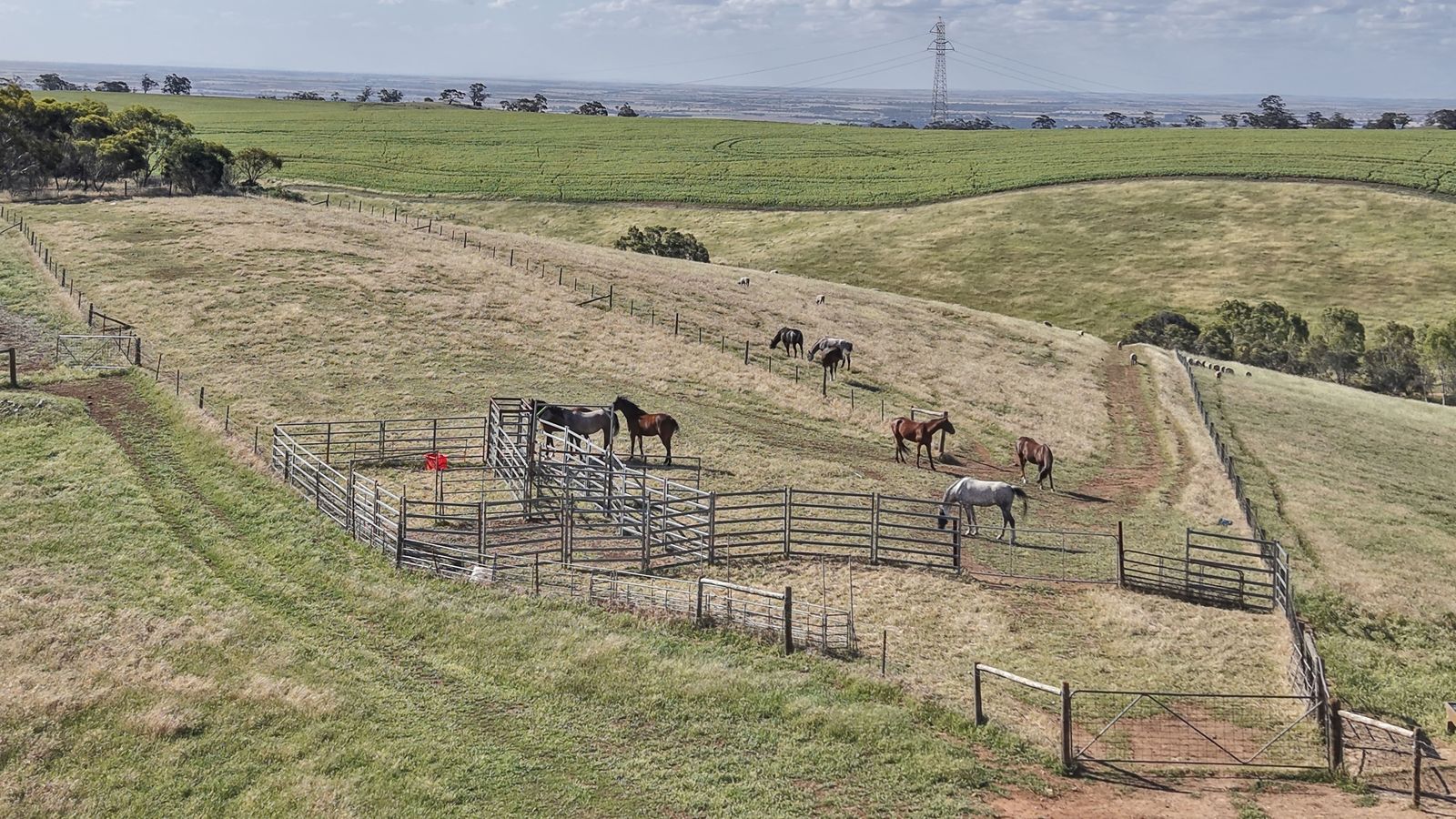 Majestic Medlow Opportunity