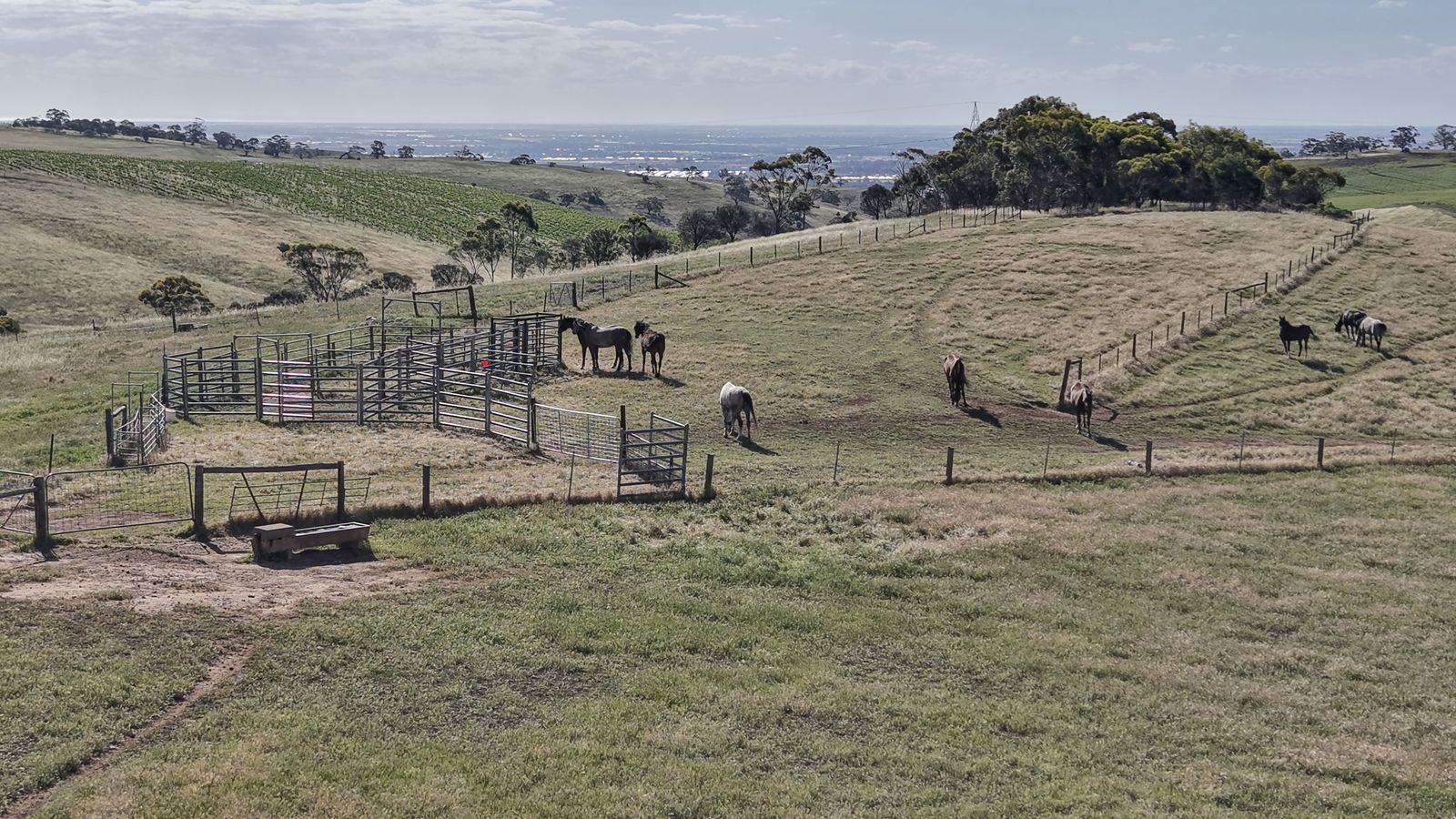 Majestic Medlow Opportunity