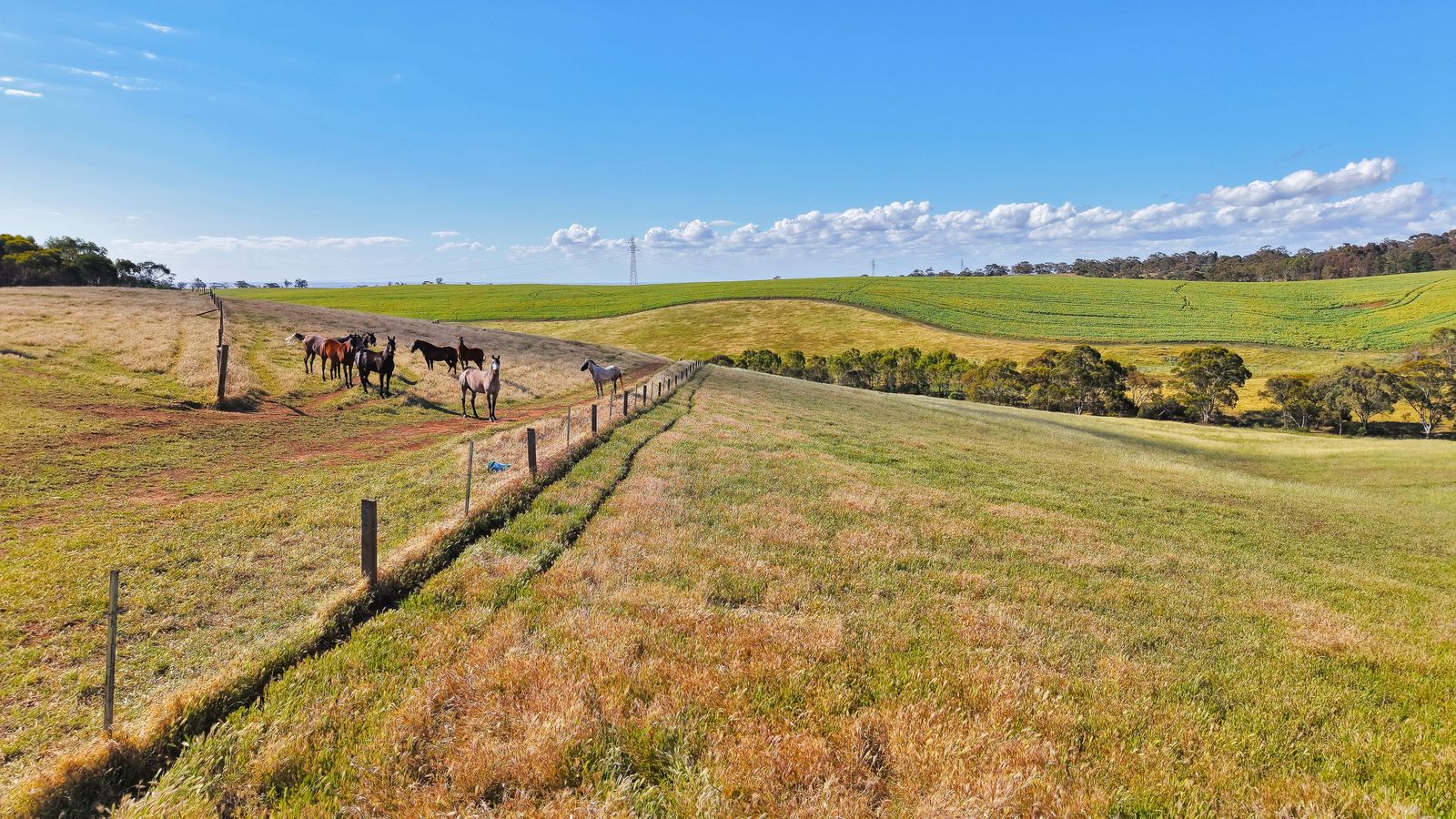 Majestic Medlow Opportunity