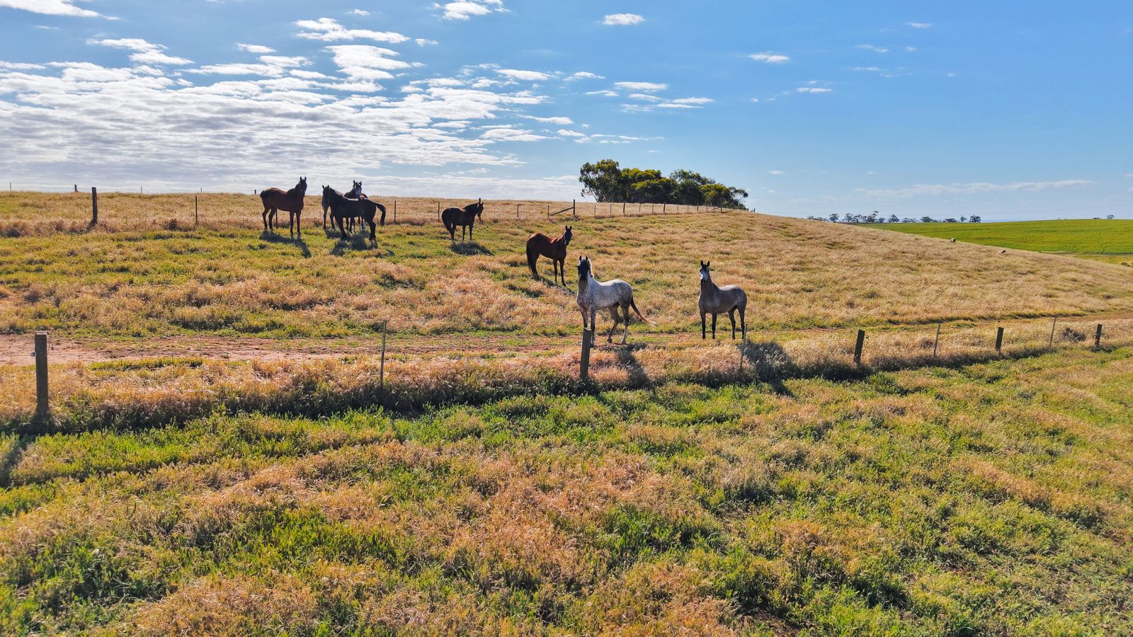 Majestic Medlow Opportunity