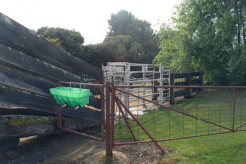 The Perfect Starter or Retiree Farmlet