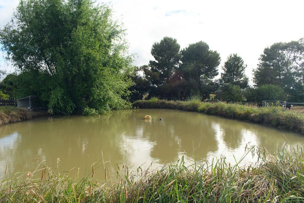 The Perfect Starter or Retiree Farmlet