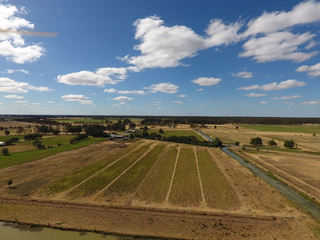 The Perfect Starter or Retiree Farmlet