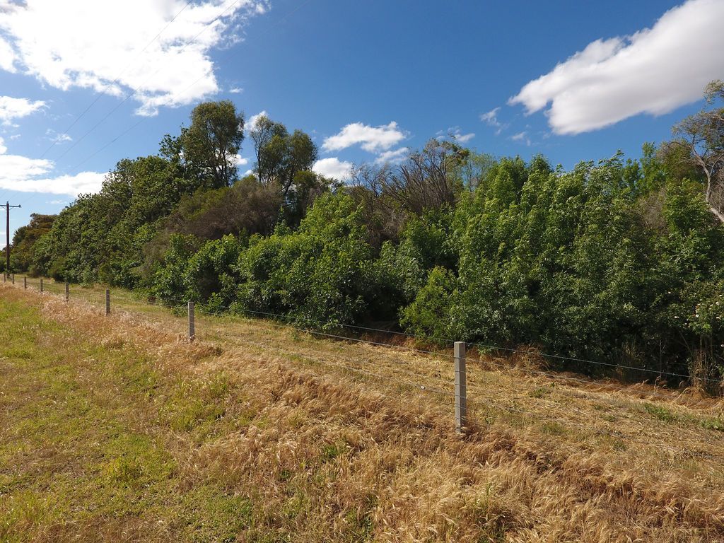 The Perfect Starter or Retiree Farmlet