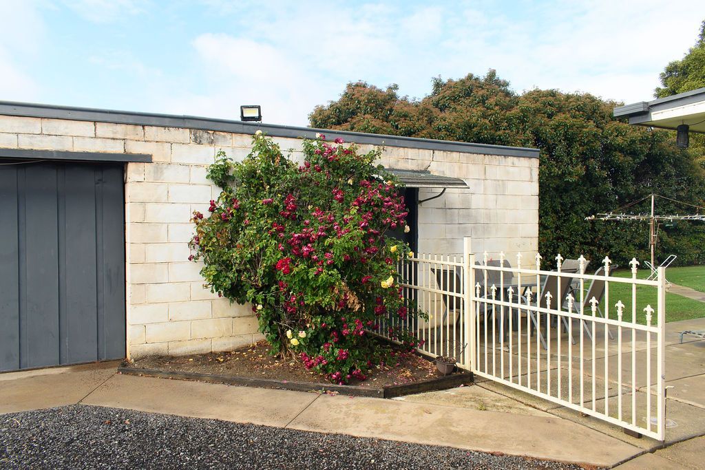 The Perfect Starter or Retiree Farmlet