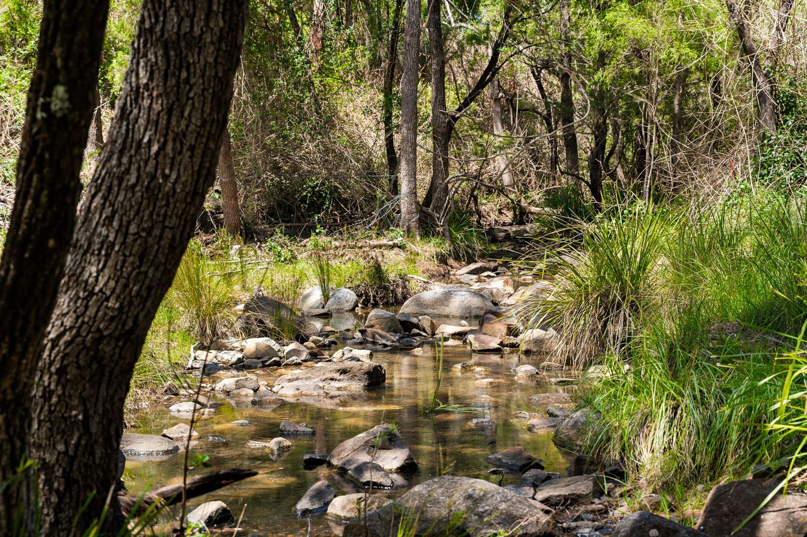 Perfect Weekender? Home Base For Your Dream Lifestyle? You Decide!