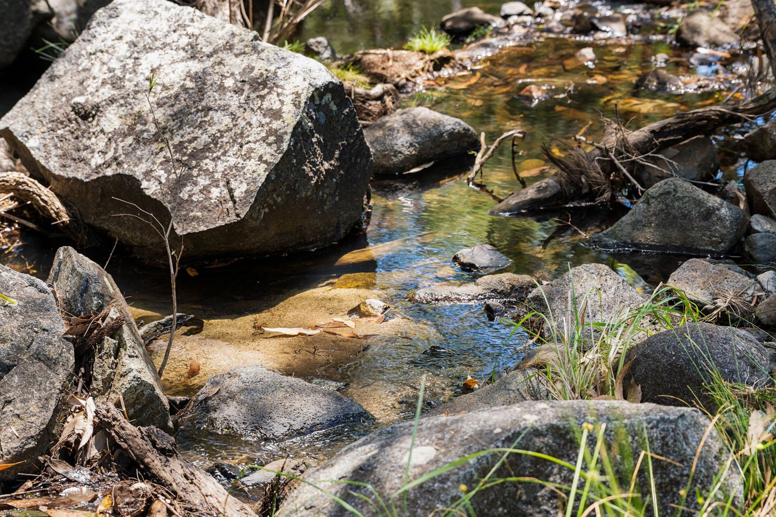 Perfect Weekender? Home Base For Your Dream Lifestyle? You Decide!