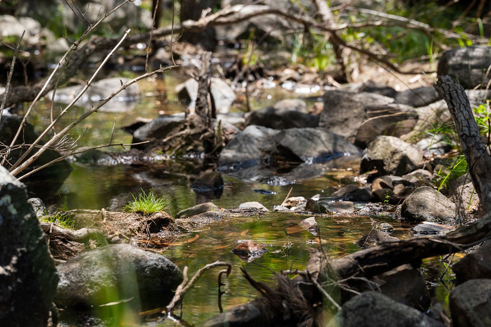 Perfect Weekender? Home Base For Your Dream Lifestyle? You Decide!