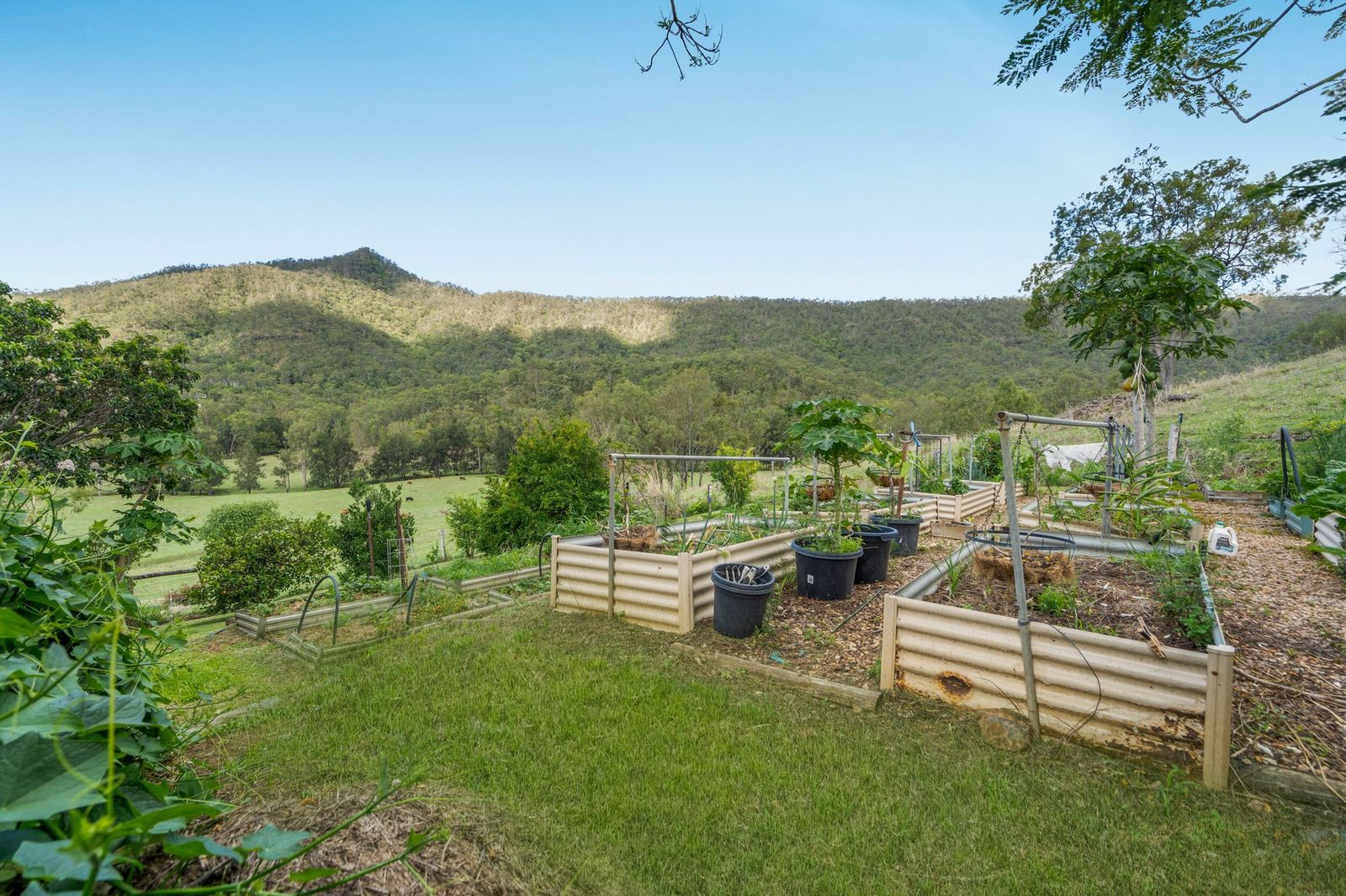 PREMIUM LIFESTYLE & FARMING OPPORTUNITY