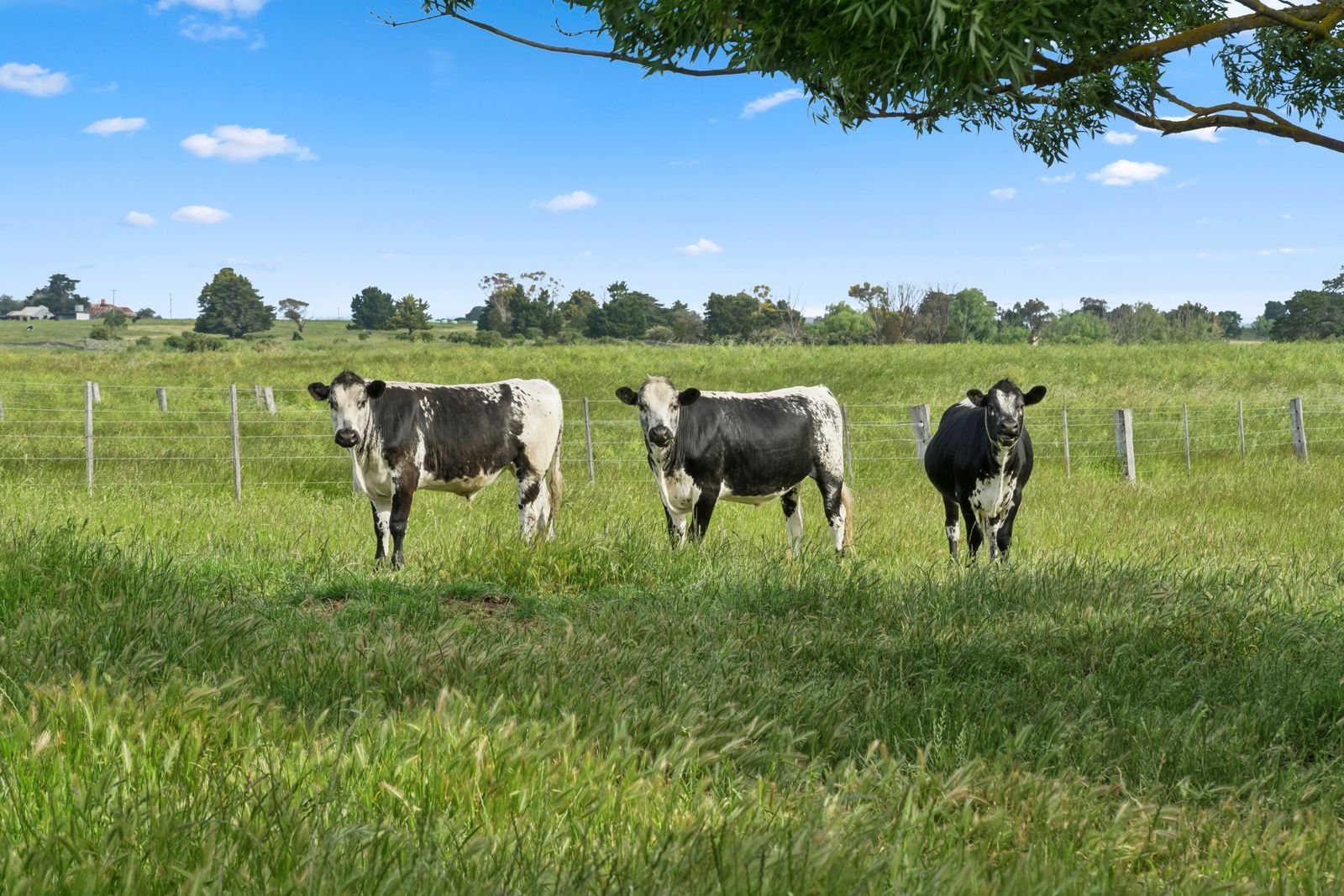 Stop Worrying, Move To Warrion!