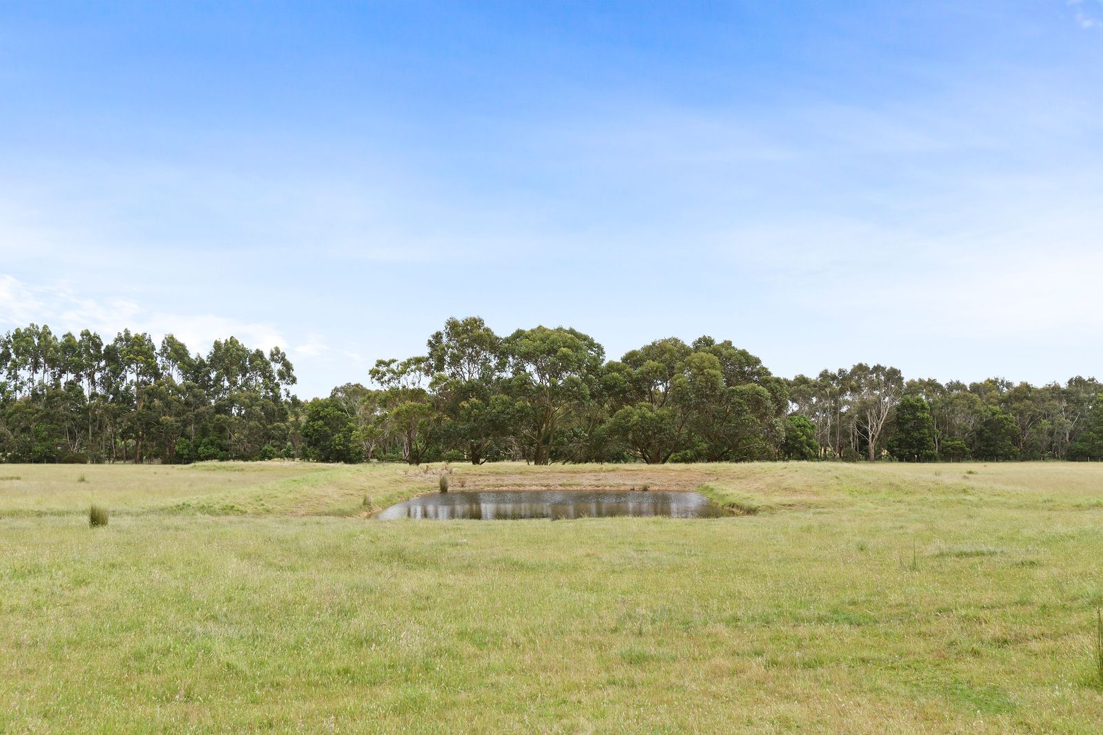 Prime 50-Acre Lifestyle Property