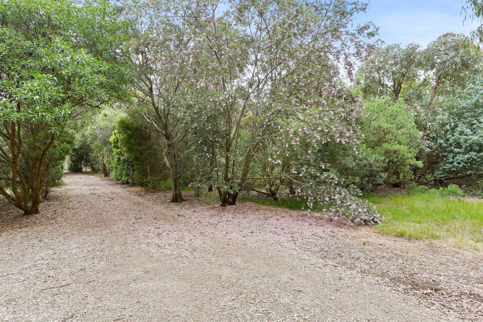 Prime 50-Acre Lifestyle Property