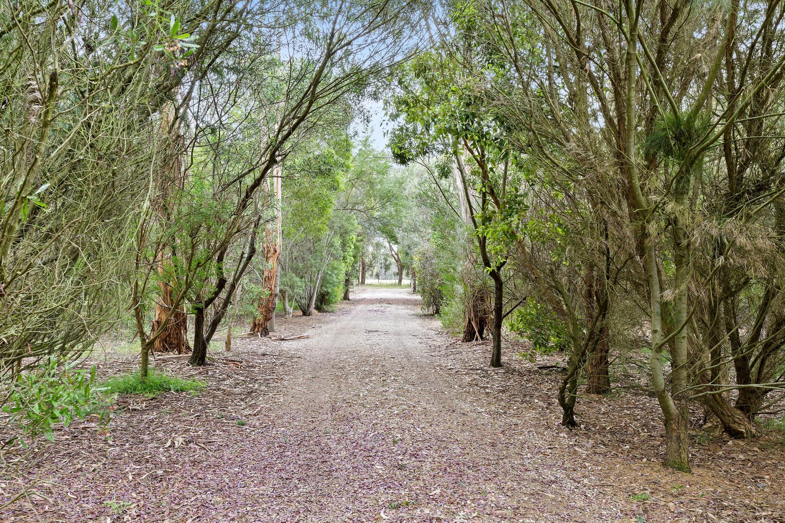 Prime 50-Acre Lifestyle Property