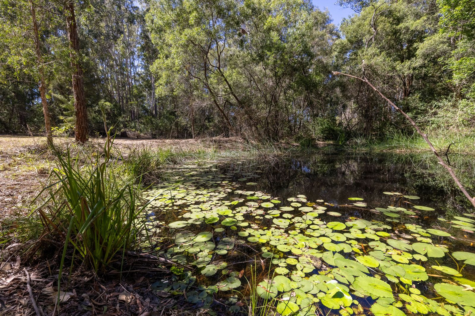 A Family Property with History, Space, and Stunning Views