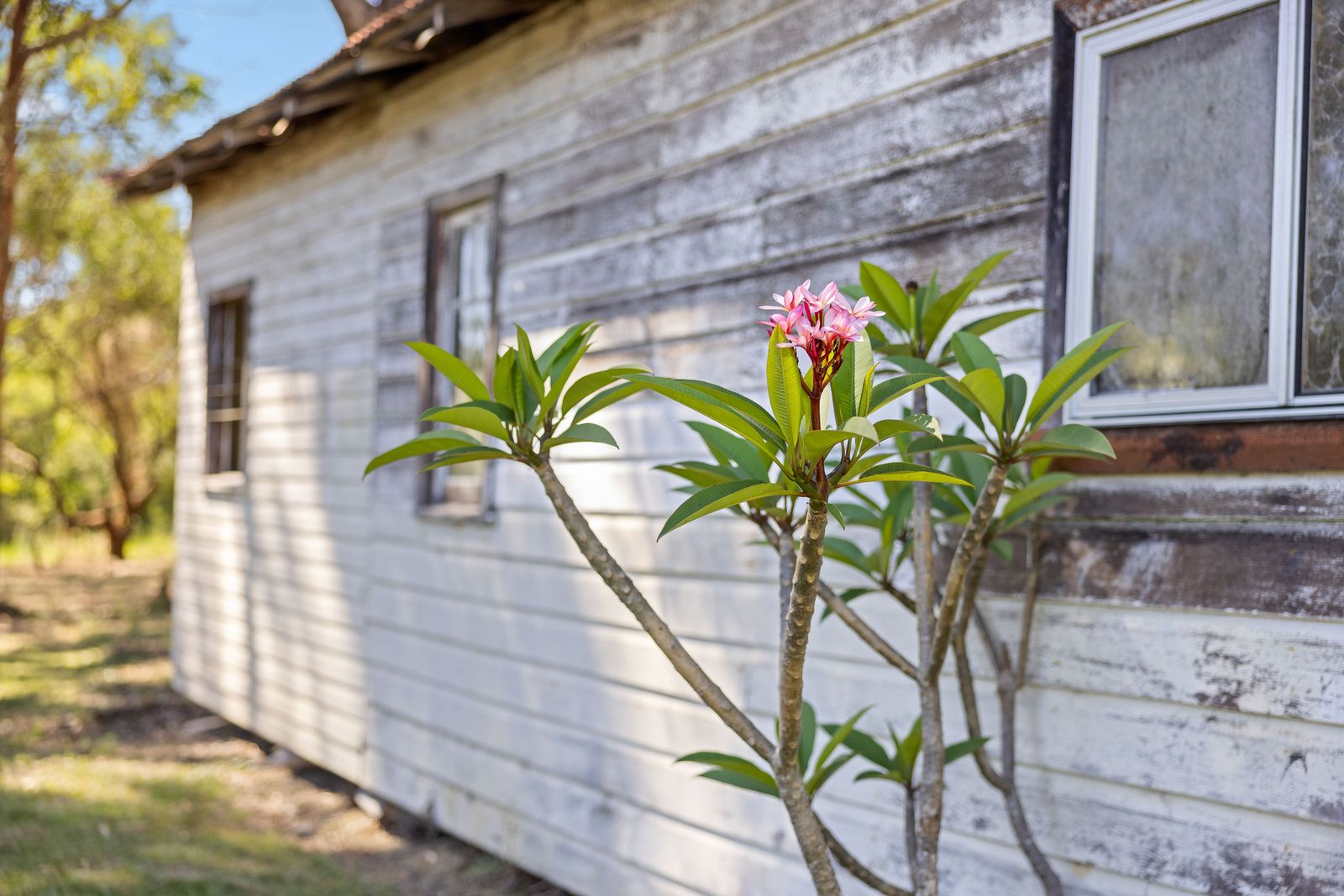 A Family Property with History, Space, and Stunning Views